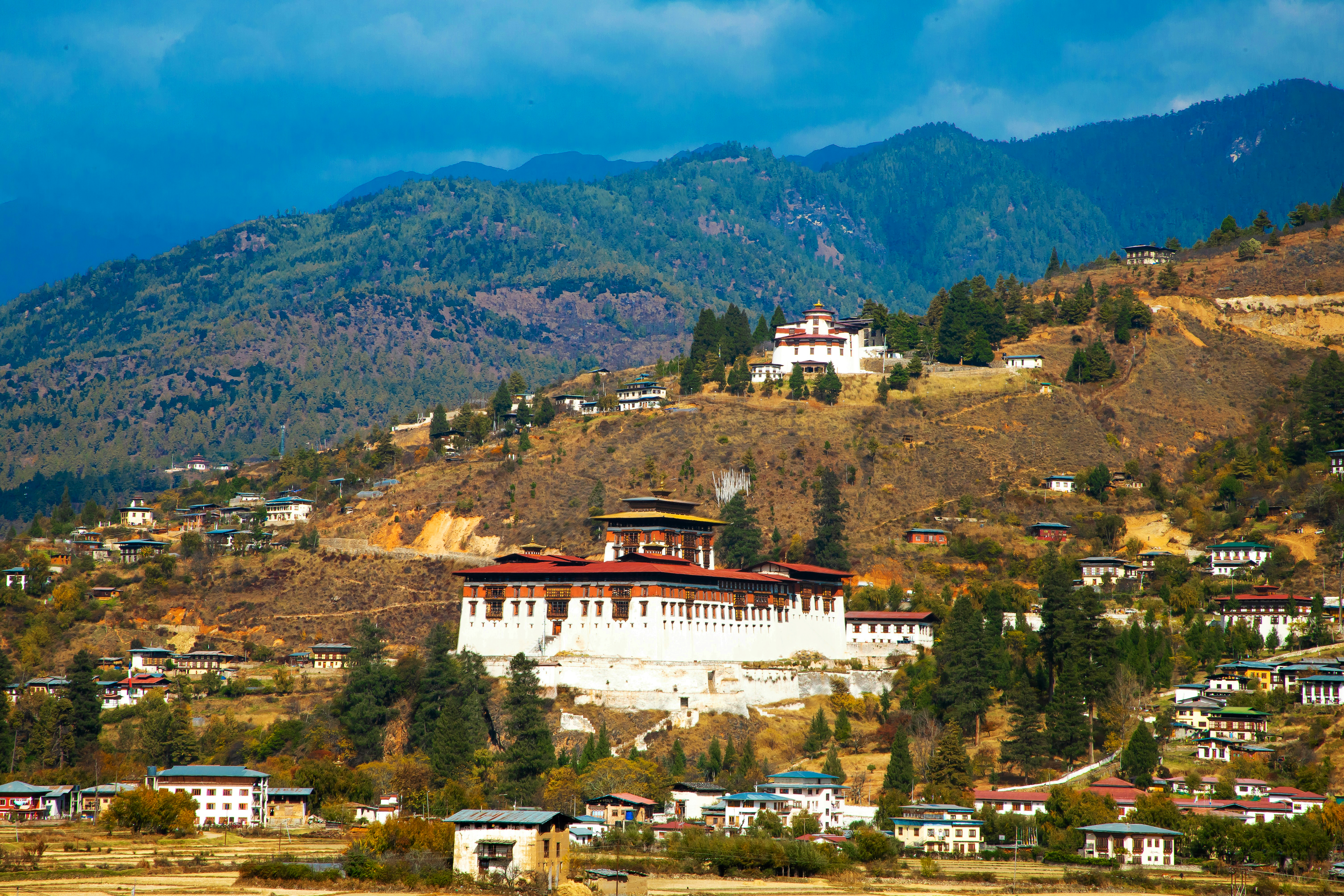 Paro Dzong Bhutan